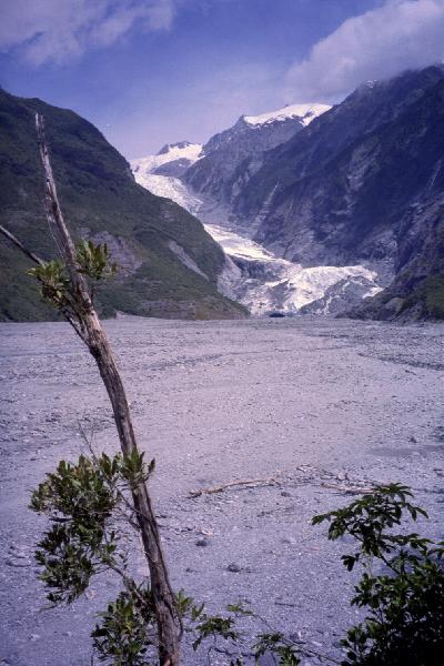 View of the base of the Franz glacier