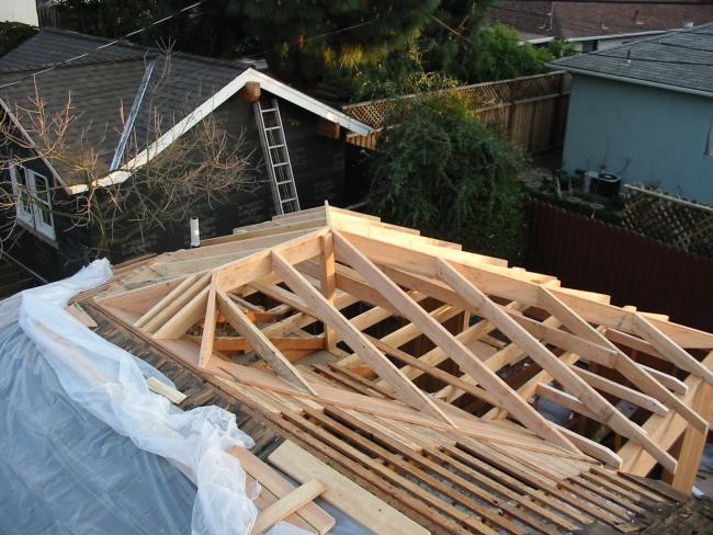 skeleton of the future roof