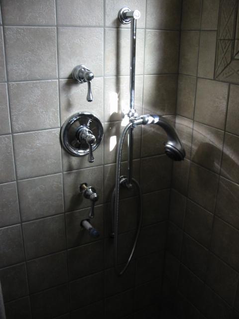 shower controls