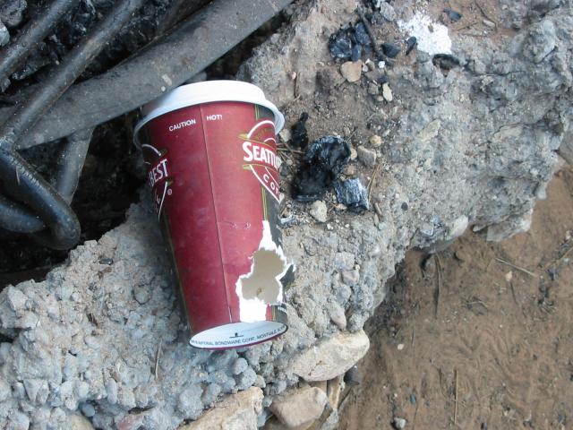 A cup a raven ate through looking for food